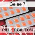 Jelly 7 27